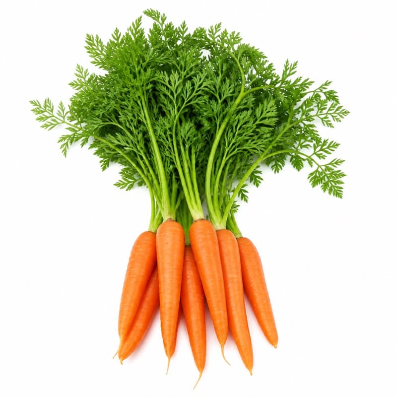 Carrots
